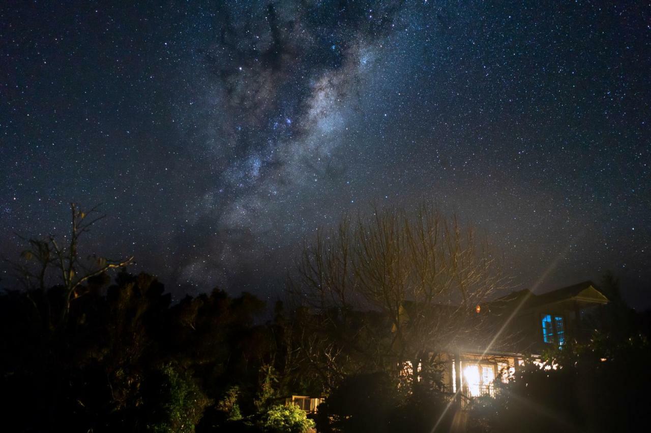 Georges Bnb Nature And Lifestyle Retreat New Plymouth Exterior photo